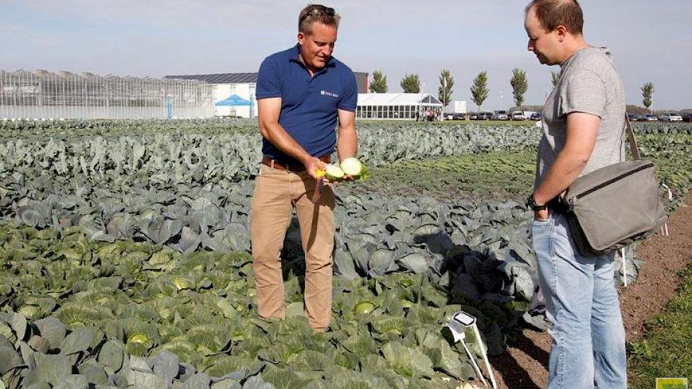 Chris Matthijsse van Takii Seed laat aan een belangstellende de minikool 'Prestar' zien. Dit is een kool voor de vroege versmarkt, met een maturiteit van 50 dagen.