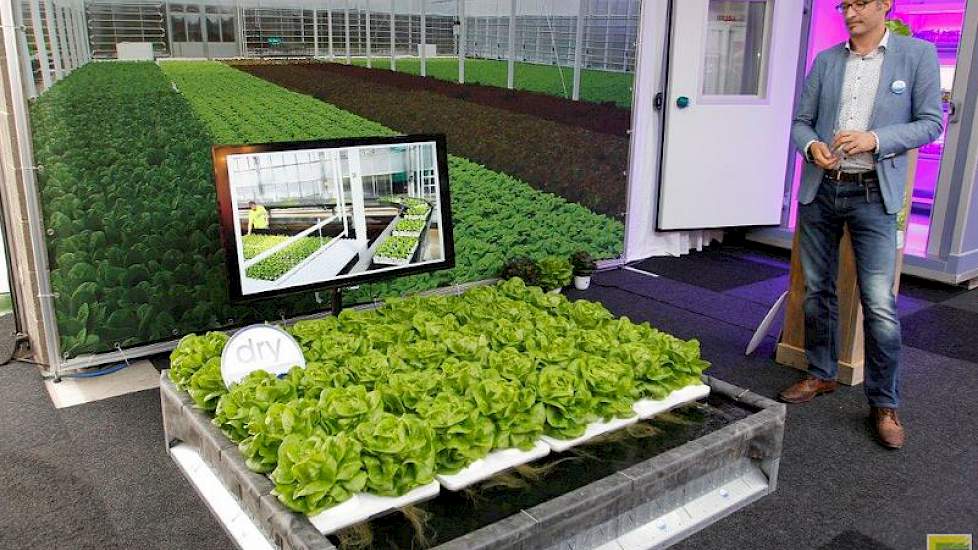 Maurice van der Knaap demonstreert Dry Hydroponics, een robuust en duurzaam teeltsysteem voor bladgewassen.