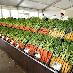 Bejo showde de gewassen buiten in het veld en binnen in tenten. Bij peen is het assortiment kleurrijk.