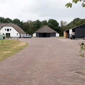 Het erf en de oprijlaan zijn ook origineel. De brede weg, van oorsprong een taxibaan voor de vliegtuigen, had aanvankelijk een breedte van 12 meter. Deze is na de oorlog versmald tot de huidige breedte. De stenen zijn gebruikt voor de bouw van een boerder