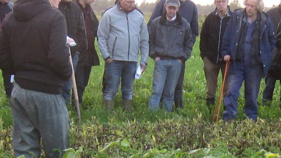 Volgens Carina Rietema van proefbedrijf Kollumerwaard houden de bezoekers genoeg informatie en vragen over om aan de keukentafel door te praten over de beste groenbemestingsstrategie.