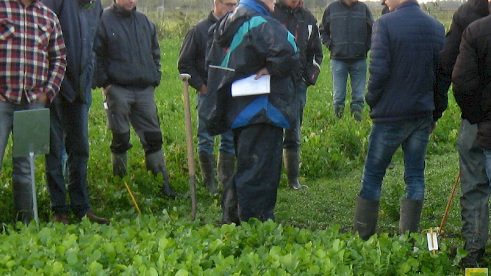 Wiepie Haagsma van WUR bespreekt de eerste waarnemingen aan de groenbemesters met de telers. Het onderzoek maakt deel uit van de Publiek Private Samenwerking Bodem. Soorten, mengsels, grondbewerking en zaaitechniek worden in de proeven vergeleken. De proe