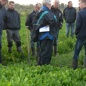 Wiepie Haagsma van WUR bespreekt de eerste waarnemingen aan de groenbemesters met de telers. Het onderzoek maakt deel uit van de Publiek Private Samenwerking Bodem. Soorten, mengsels, grondbewerking en zaaitechniek worden in de proeven vergeleken. De proe