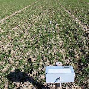 27 maart: Er is ook een septoria timer geplaatst door Bayer, die meet op welke dagen de omstandigheden gunstig zijn voor de in tarwe zeer belangrijke ziekte Septoria tritici.