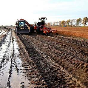 De zandgrond in Noord-Limburg is heel geschikt voor de lelieteelt. De bollen van een aantal percelen verzopen na de stortbuien van 150 millimeter in twee dagen die in juni vielen. Over de opbrengsten op de percelen die Marcellis nu rooit is hij tevreden.