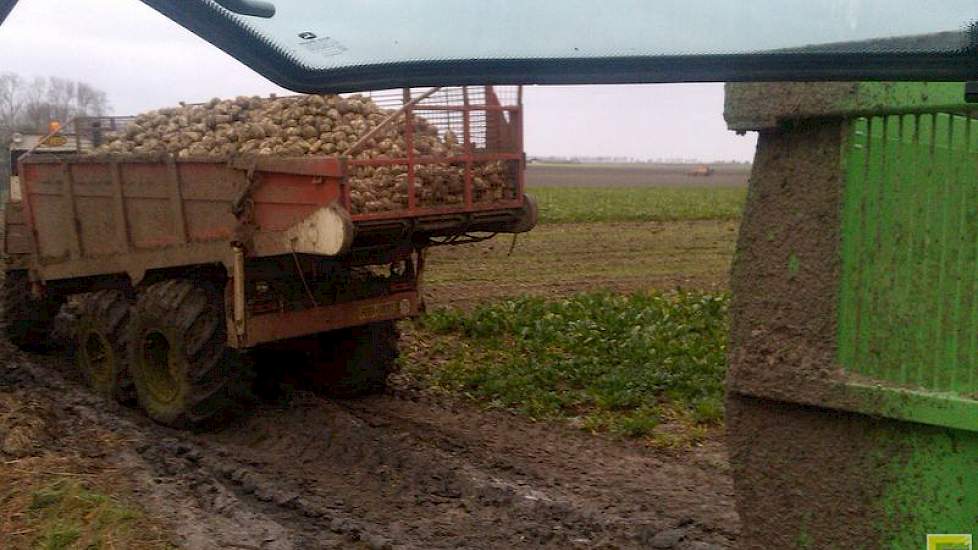 Klaas Jan Boer rooit zijn laatste bieten. Daarbij heeft hij een overlaadwagen ingezet.
