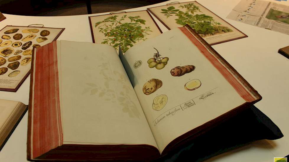 Hier een beschrijving van de aardappelplant in een encyclopedie uit de 19e eeuw.