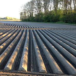 Ook op Klein Tiengemete is het koud vanmorgen, meldt Leen Vos vanmorgen op twitter.