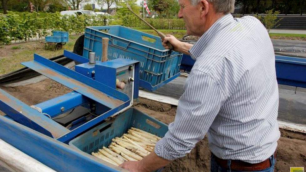 Iedere dag wordt volop gestoken om aan de vraag te kunnen voldoen.