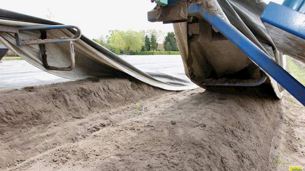 Na het steken legt de machine het plastic weer zorgvuldig over het aspergebed.