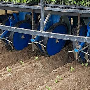 De Vries: „Voor het planten van de aardappelen hoeven ze niets aan te passen. Ze rijden op dezelfde snelheid als met broccoli planten.”