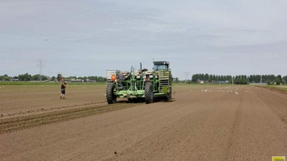 Omdat er steeds minder middelen beschikbaar en betaalbaar zijn om onkruid in knolselderij chemisch te bestrijden, heeft Vaalburg de stap gezet naar een mechanische onkruidbestrijding. Daarvoor wordt tijdens het groeizoen een schoffelmachine met camera ing