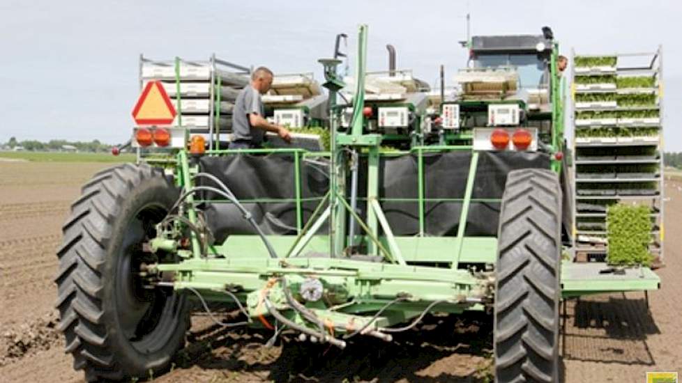 Zijn er bij een gangbare plantmachine 7 mensen nodig om te planten, bij de Vaalburg-planter slechts twee en bovendien is er geen trekkerbestuurder nodig. “En die medewerkers hoeven geen planten in de grond te zetten, maar alleen de trays met planten op de