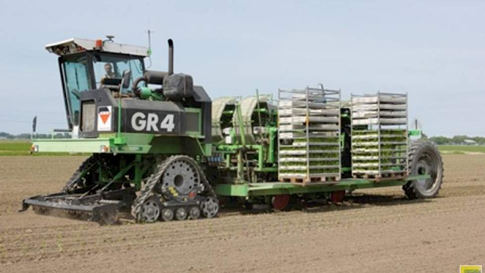 De plantmachine die de afgelopen weken 100 hectare plantgoed aan knolselderijplantjes verwerkte, is door Ted Vaalburg en zijn zwager ontwikkeld. De unieke machine is net als de andere machines in de knolselderij gps-gestuurd. Dankzij gps worden de knolsel
