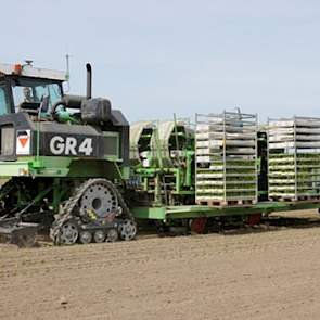 De plantmachine die de afgelopen weken 100 hectare plantgoed aan knolselderijplantjes verwerkte, is door Ted Vaalburg en zijn zwager ontwikkeld. De unieke machine is net als de andere machines in de knolselderij gps-gestuurd. Dankzij gps worden de knolsel