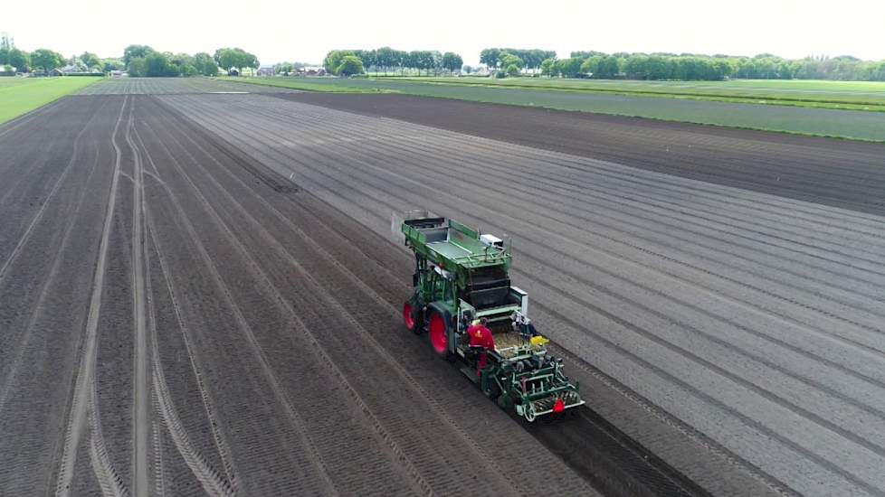 Lelies planten in Sibculo (OV) - www.akkerwijzer.nl