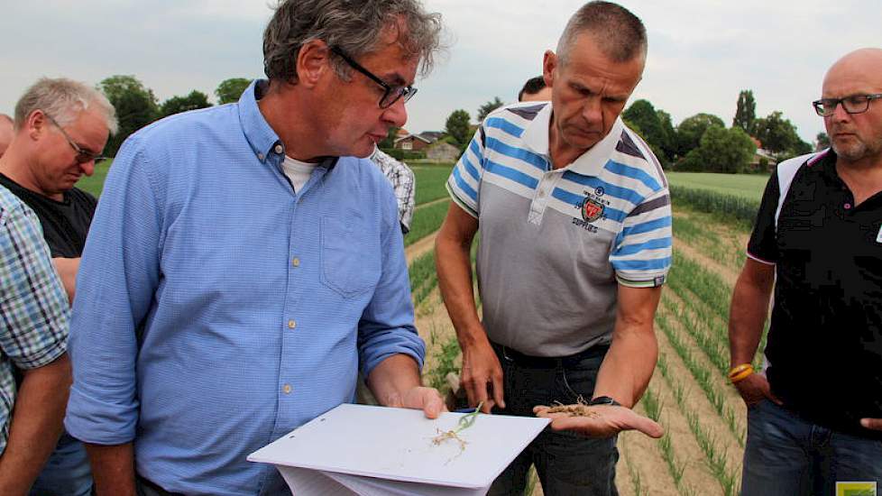 De teelt van uien op de löss in zowel Nederlands als Belgisch Limburg neemt toe. De doorsnee-opbrengsten van 40 tot 50 ton moeten hoger kunnen. We streven naar 70 ton”, stelt Guido Schriever van Agro-Sud (links).