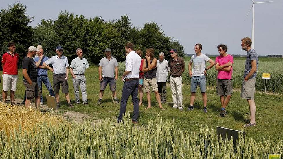 Biologische boeren zaaien graag zomertarwe in plaats van wintertarwe in verband met de onkruidbeheersing. Baktarwes hebben een meerwaarde van 25 euro per ton voor telers. Marijn van Dongen van Agrifirm praatte de bezoekers van de velddag bij over de rasse