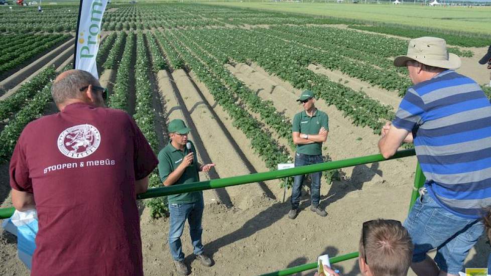 Onkruidbestrijding in aardappelen is een uitdaging dit jaar, is de ervaring van Belchim. De bodemherbiciden hebben vocht nodig om hun werk goed te kunnen doen, aldus de vertegenwoordiger. Het is daarom belangrijk om bij de inzet van bodemherbiciden te kij