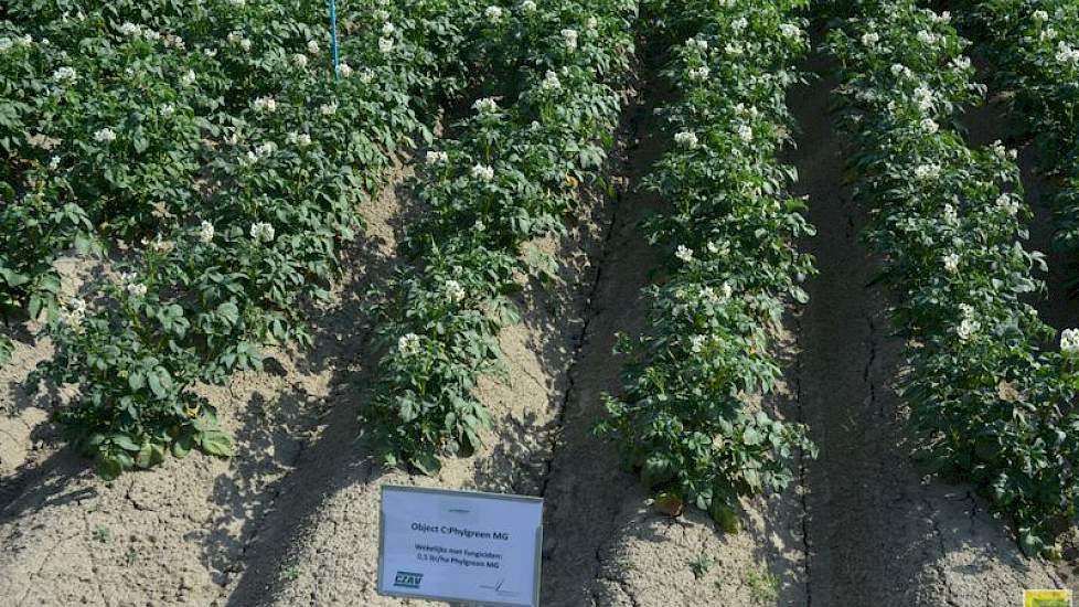 Plantenvoeding en plantversterkers worden door de klimaatverandering steeds belangrijker, stelde Tradecorp. Deze middelen maken een gewas minder gevoelig voor stress. Het was tijdens de open dag echter nog te vroeg voor resultaten.