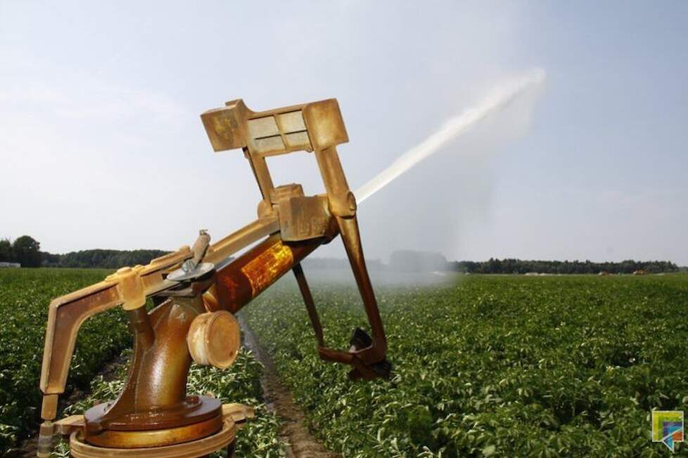 Zowel op het praktijkbedrijf in Vredepeel als Lelystad worden aardappelen momenteel volop beregend.