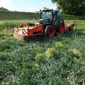 Franje Onions, met vestigingen in Waarde en Krabbendijke, teelt circa 15 hectare winterplantuien van de rassen Troy en Shakespeare.