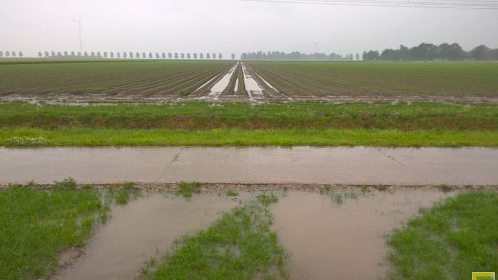 ‘Lelystad nu 33 mm’, liet Meindert den Ouden weten. Akkerbouwer Harry Schreuder uit Swifterbant: 'Alles groeit als kool hier na een akkerregen van inmiddels ruim 22 mm.'