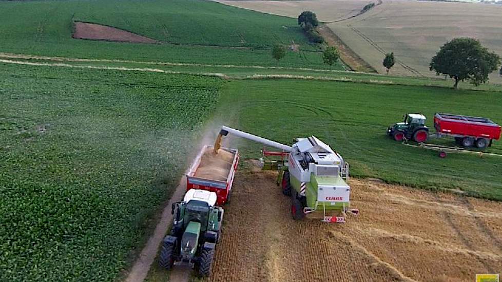 Volgens Agrifirm worden opbrengsten gemeld van 10 ton per hectare met uitschieters richting de 12 ton per hectare. Er zijn regionale verschillen zichtbaar in de kwaliteit van de gerst. Kleigronden scoren hectolitergewichten van rond de 65/66. Op de zandgr