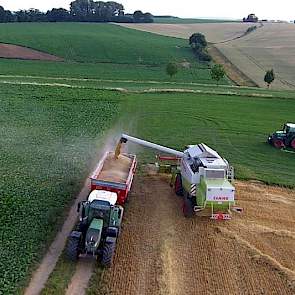 Volgens Agrifirm worden opbrengsten gemeld van 10 ton per hectare met uitschieters richting de 12 ton per hectare. Er zijn regionale verschillen zichtbaar in de kwaliteit van de gerst. Kleigronden scoren hectolitergewichten van rond de 65/66. Op de zandgr