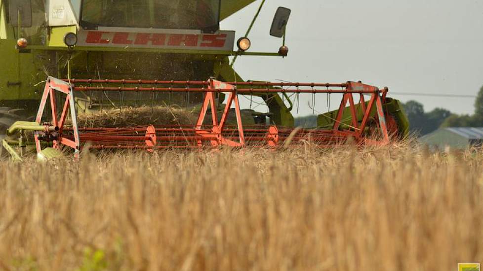 Het maaibord van deze machine is slechts 3 meter breed. 'We doen hier de hele dag over een areaal dat we op ons bedrijf in Polen in een uurtje doen.' In Nederland teelt Van der Struik 10 hectare graan.