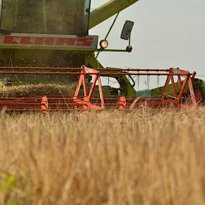 Het maaibord van deze machine is slechts 3 meter breed. 'We doen hier de hele dag over een areaal dat we op ons bedrijf in Polen in een uurtje doen.' In Nederland teelt Van der Struik 10 hectare graan.