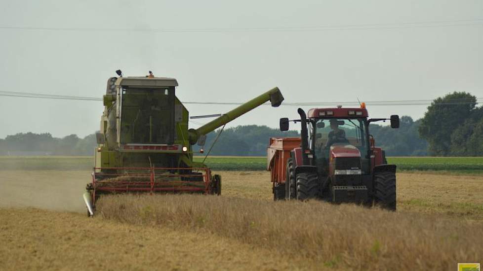 Steven voert de gerst direct af. Voor de akkerbouwers is dat dichtbij: op 200 meter van het bedrijf is een graandepot van Agrifirm.