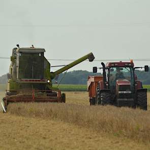 Steven voert de gerst direct af. Voor de akkerbouwers is dat dichtbij: op 200 meter van het bedrijf is een graandepot van Agrifirm.