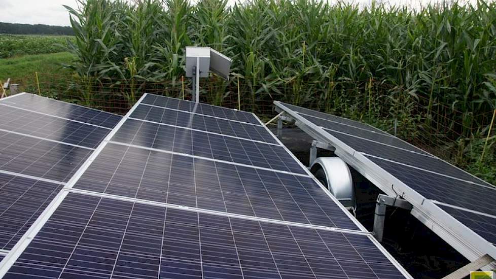 Bij Beijering werkt het hele systeem op een groep zonnepanelen. Daarvan is één nodig voor de regelunit en de rest voor de pompen.