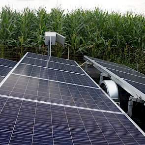 Bij Beijering werkt het hele systeem op een groep zonnepanelen. Daarvan is één nodig voor de regelunit en de rest voor de pompen.