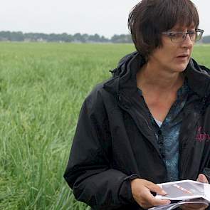 Sigrid Arends laat vliegtuigbeelden van het perceel zien. Op hete dagen blijkt de temperatuur op de stukken met druppelirrigatie 2 tot 3 graden lager te blijven.