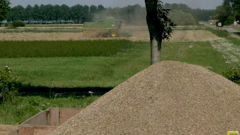 Door droogteschade op diverse locaties is de opbrengst van Engels raaigras dit jaar naar verwachting 10 tot 15% minder dan het 5-jarig gemiddelde.