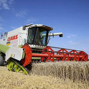 Boone hoopt vandaag weer door te kunnen met dorsen. Het loonbedrijf Van der Maas heeft nog enkele dagen werk in de regio om van alle klanten de tarwe eraf te hebben.