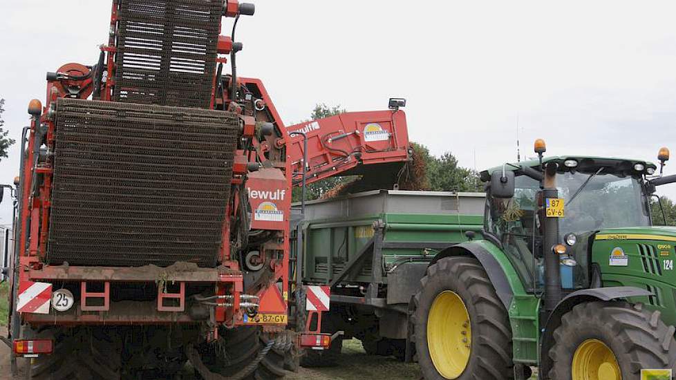 De rooier kan 5 tot 6 ton in de bunker meenemen. De peen gaat in het veld in de hooglosser.