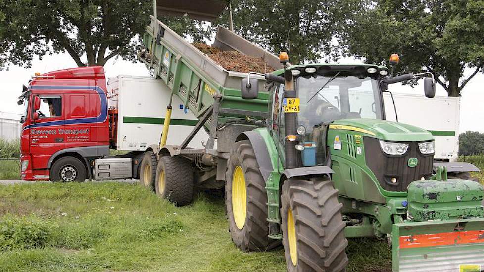 De hooglosser brengt de oogst naar de vrachtauto’s. Die kunnen zo’n 35 ton peen per rit meenemen.