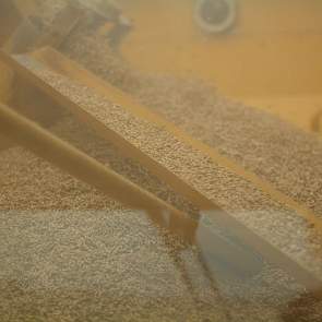 De combine kan 4 ton graan meenemen in de bunker.