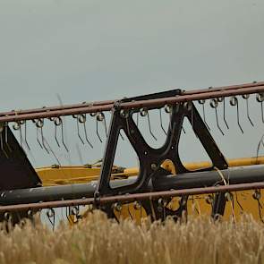 De New Holland heeft een bek van 4,5 meter breed. Per uur schat Hooiveld dat hij 1,5 tot 2 hectare kan doen. „Als alles mooi loopt kan ik in zes of zeven dagen alles doen.”
