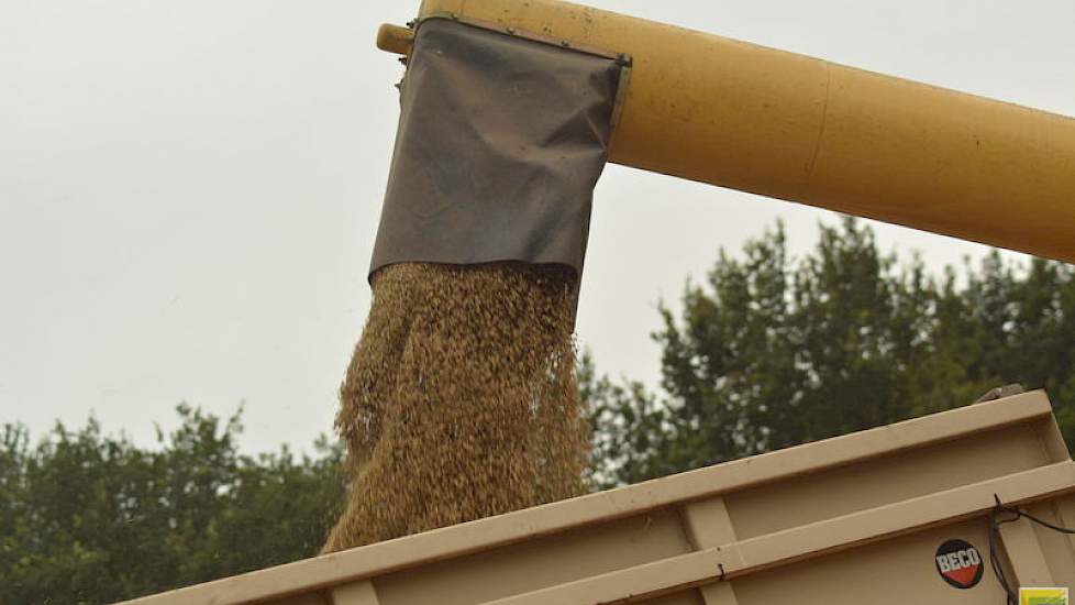 De volle kippers gaan naar een Agrifirm-innamepunt op slechts een kilometer afstand.