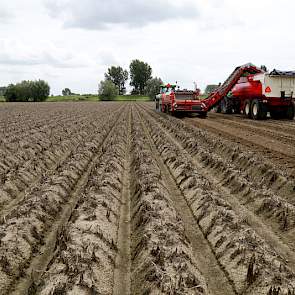Van de 25 hectare pootgoed die Looyen heeft kan hij 70 procent niet beregenen.