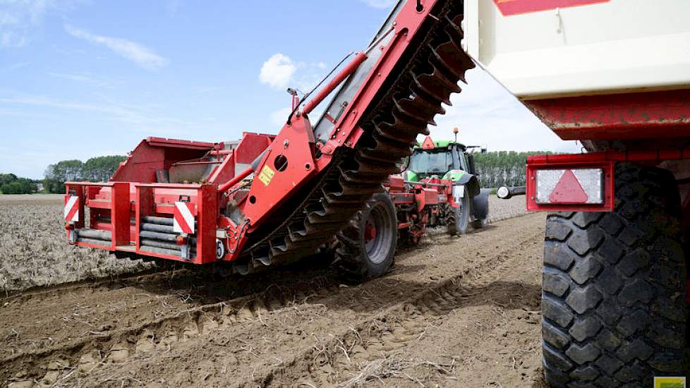 Op beregende percelen rooit Looyen rond de 40 ton poters. Op niet-beregende percelen valt dat een kwart lager uit.