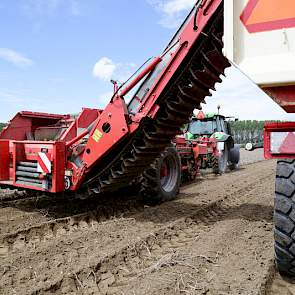 Op beregende percelen rooit Looyen rond de 40 ton poters. Op niet-beregende percelen valt dat een kwart lager uit.