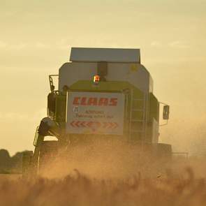 Panman hakselt alle stro en laat het achter op de percelen als bodemverbetering. Panman teelt 40 hectare zomergerst. Andere teelten op het bedrijf zijn zetmeelaardappelen, suikerbieten en gele en rode zaaiuien.