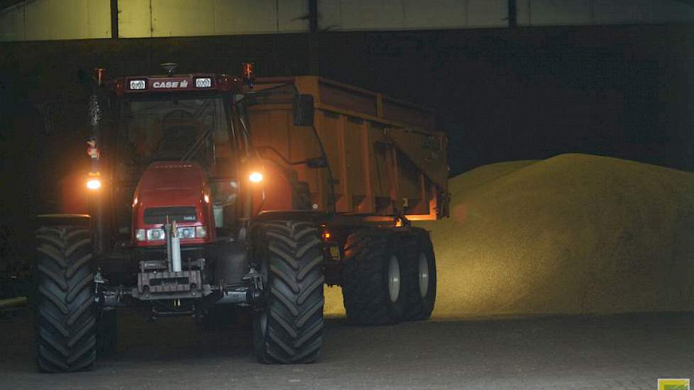 Van 36 hectare komt alle zomergerst in de aardappelschuur. De andere 4 hectare ligt bij een andere boerderij.