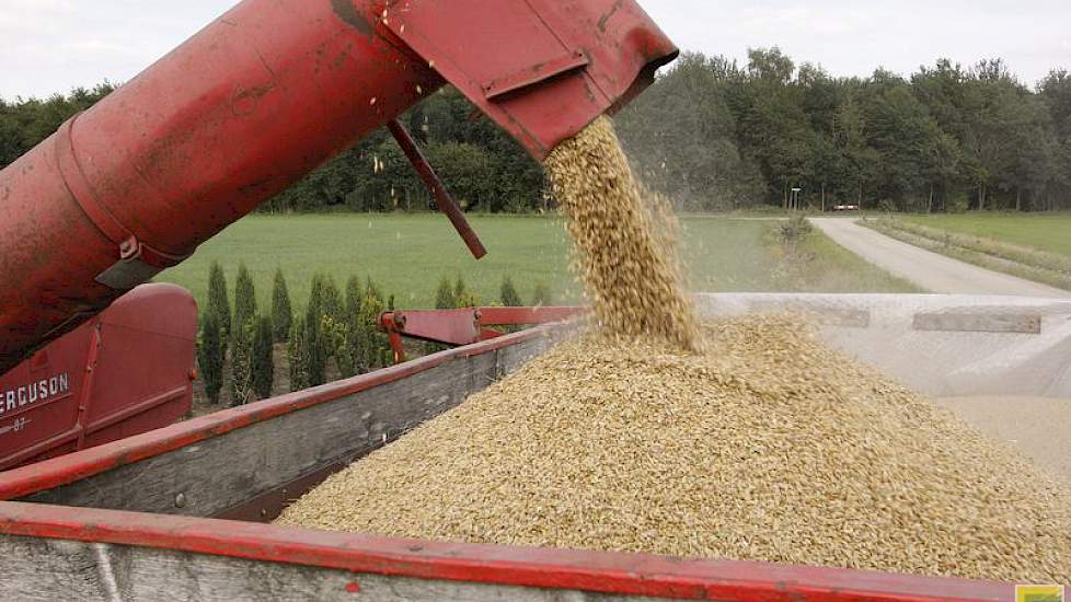 De opbrengst ligt meestal tussen de 5 en 6 ton per hectare, zegt Hartemink.