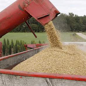 De opbrengst ligt meestal tussen de 5 en 6 ton per hectare, zegt Hartemink.